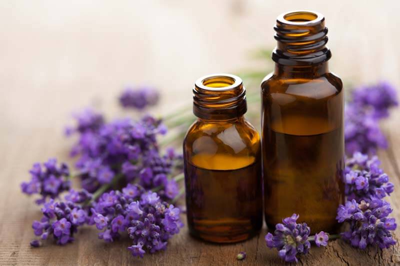 lavender oil for spider bug mosquito bites