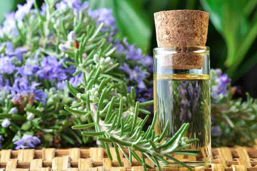 rosemary essential oil bottle